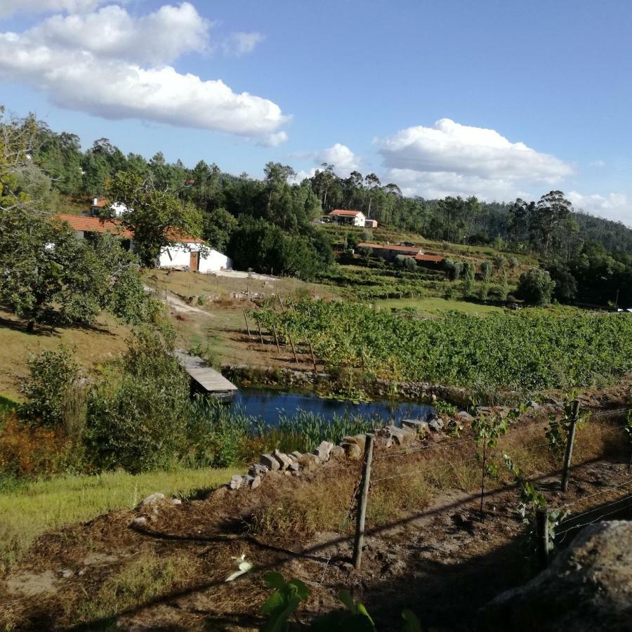 Casa Na Quinta De Valinhas Lägenhet Vitorino dos Piães Exteriör bild